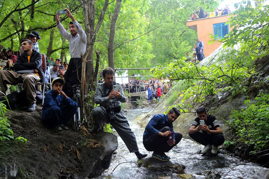 تاریخ برگزاری جشنواره توت فرنگی در کردستان