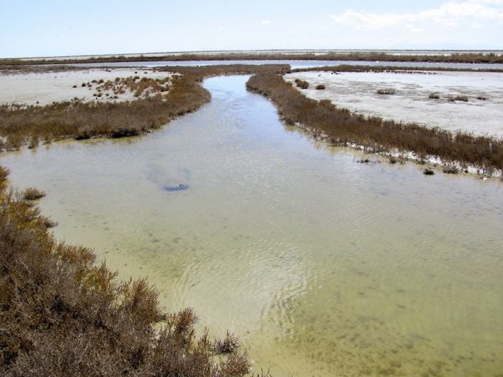 جاهای دیدنی جرقویه: راهنمای سفری جذاب به مناطق بکر 2 جاهای دیدنی جرقویه: راهنمای سفری جذاب به مناطق بکر