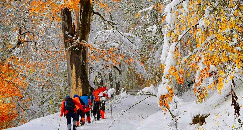 سورتمه سواری تالش: هیجان انگیزترین تفریح گیلان! 4 سورتمه سواری تالش: هیجان انگیزترین تفریح گیلان!