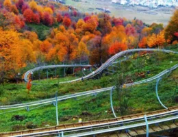 سورتمه سواری تالش