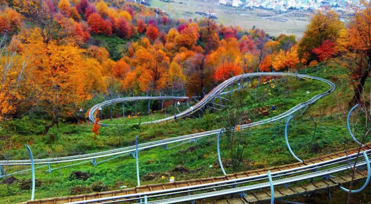 سورتمه سواری تالش: هیجان انگیزترین تفریح گیلان! 1 سورتمه سواری تالش