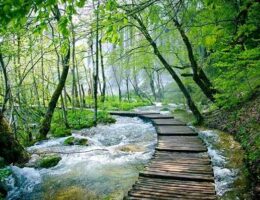 جاهای دیدنی گرگان