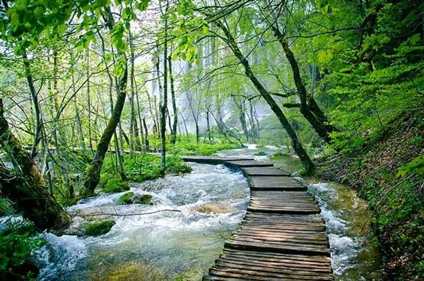 جاهای دیدنی گرگان