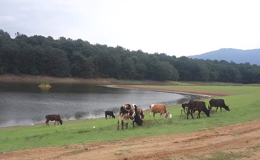 دریاچه نورماس: همه چیز درباره این نگین پنهان شمال! 3 دریاچه نورماس: همه چیز درباره این نگین پنهان شمال!