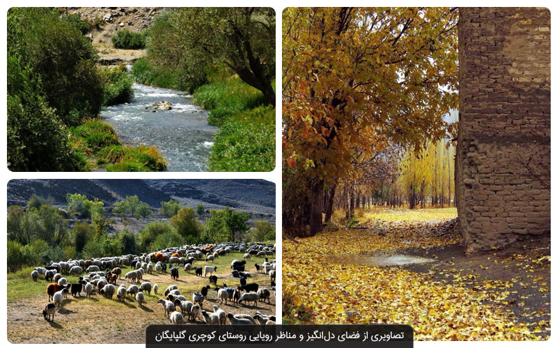 جاهای دیدنی گلپایگان؛ سفر به قلب طبیعت و تاریخ 1 گلپایگان