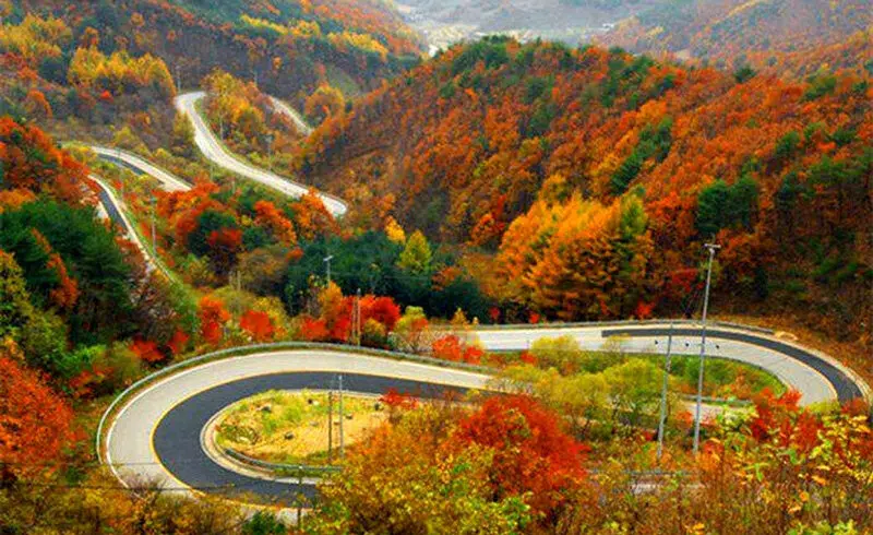 شمال در پاییز: چرا بهترین زمان سفر است؟