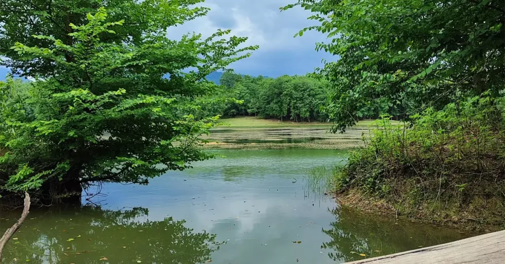 دریاچه جوربند مازندران: راهنمای جامع این نگین سبز