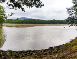 دریاچه جوربند مازندران