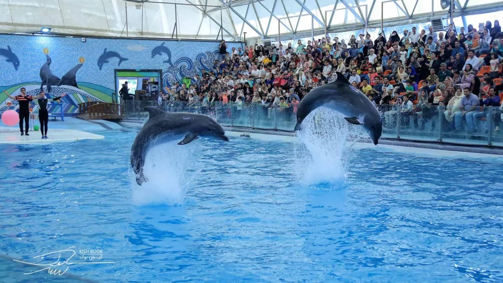 پارک دلفین کیش: معرفی کامل و نکات ضروری