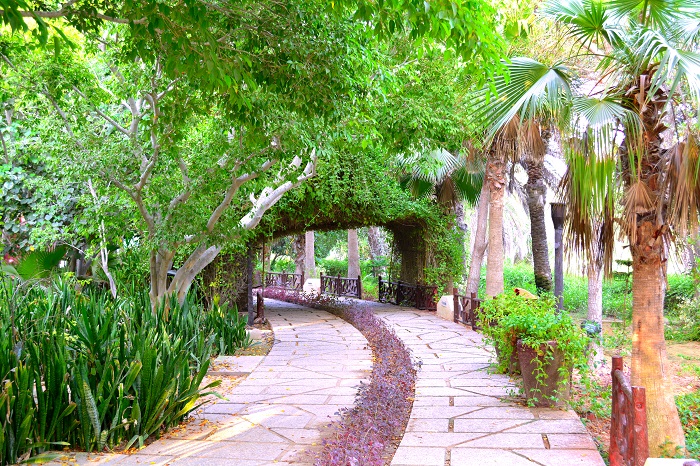 پارک دلفین کیش: معرفی کامل و نکات ضروری