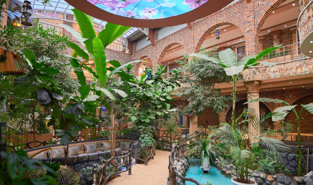 بهترین رستورانهای قشم: غذاهای دریایی و محلی شگفتانگیز 5 رستوران برکه قشم