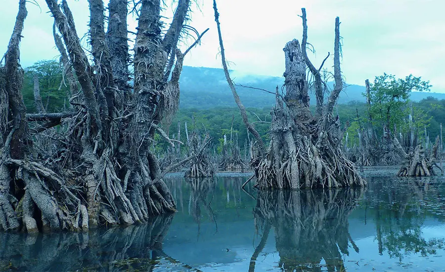 دریاچه ارواح نوشهر: سفری شگفتانگیز 2 دریاچه ارواح نوشهر
