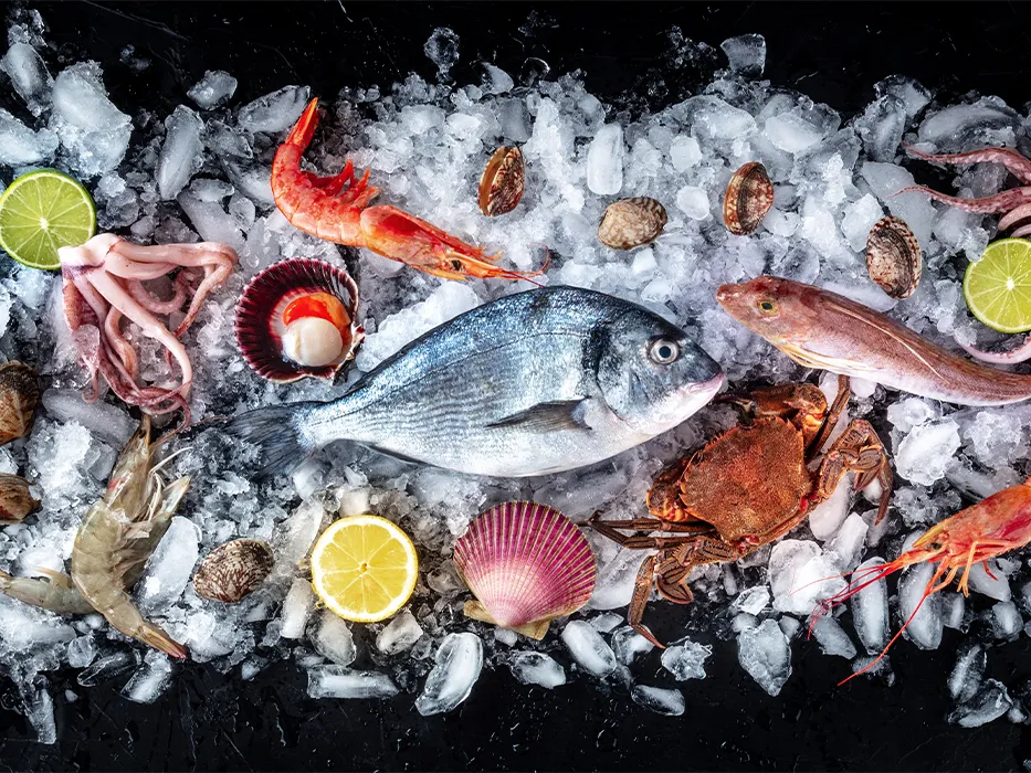 بهترین رستورانهای قشم: غذاهای دریایی و محلی شگفتانگیز 3 غذاهای دریایی قشم