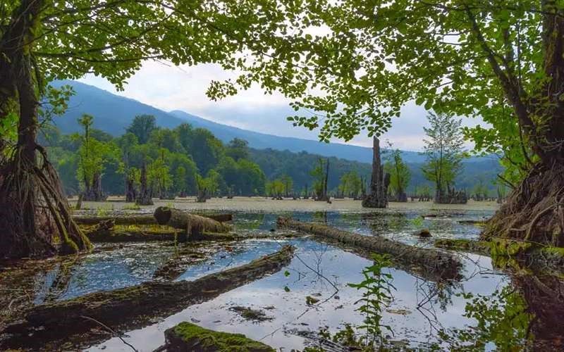 دریاچه ارواح نوشهر: سفری شگفتانگیز 4 دریاچه ارواح نوشهر